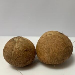 Brown coconuts