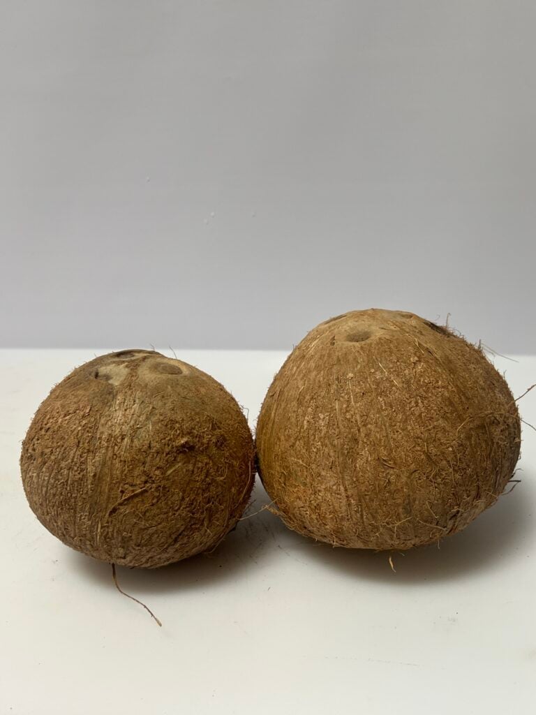 Home 8 Brown coconuts