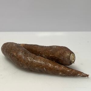 Fresh whole yuca root or manioc