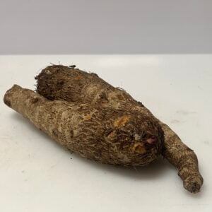 Malanga